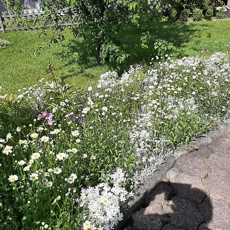 Gierske Feienwohnung * Olsberg